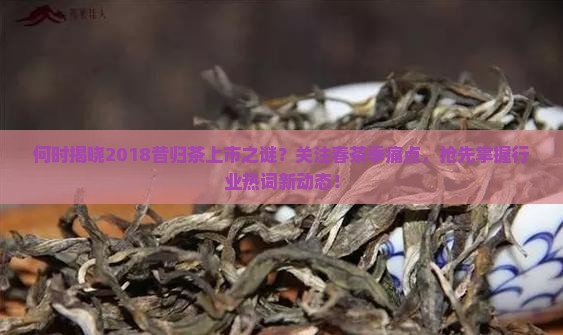 何时揭晓2018昔归茶上市之谜？关注春茶季痛点，抢先掌握行业热词新动态！