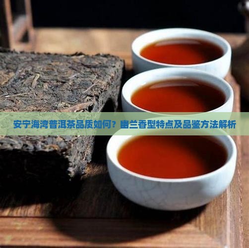 安宁海湾普洱茶品质如何？幽兰香型特点及品鉴方法解析