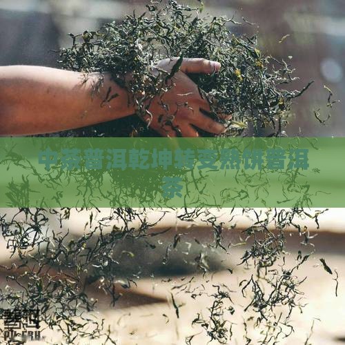 中茶普洱乾坤转变熟饼普洱茶