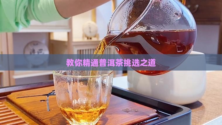 教你精通普洱茶挑选之道