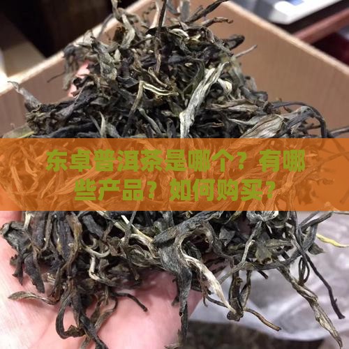 东卓普洱茶是哪个？有哪些产品？如何购买？
