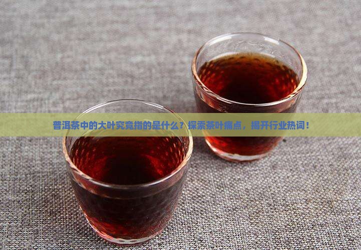 普洱茶中的大叶究竟指的是什么？探索茶叶痛点，揭开行业热词！