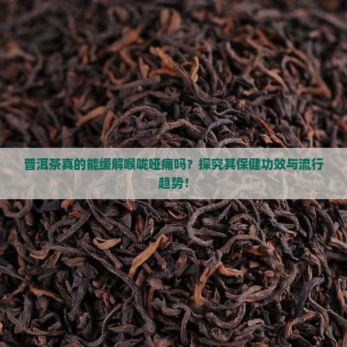 普洱茶真的能缓解喉咙哑痛吗？探究其保健功效与流行趋势！