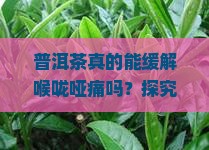 普洱茶真的能缓解喉咙哑痛吗？探究其保健功效与流行趋势！