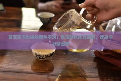 普洱茶泡出来的颜色不对？茶汤颜色差异原因，速来学习茶圈新