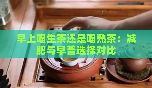 早上喝生茶还是喝熟茶：减肥与早普选择对比