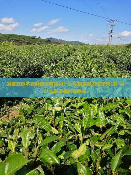 喝茶就睡不着对身体有害吗？女生喝茶睡不着正常吗？为什么喝茶会影响睡每