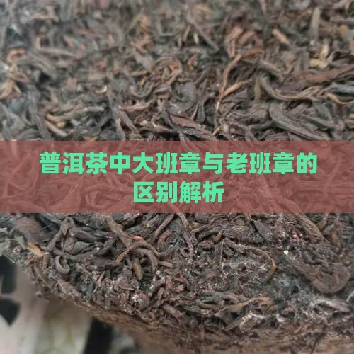 普洱茶中大班章与老班章的区别解析