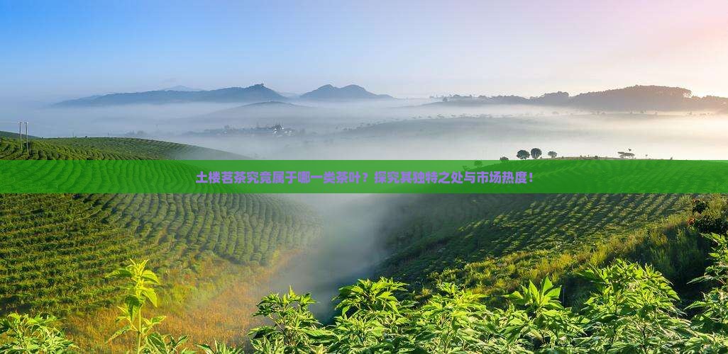 土楼茗茶究竟属于哪一类茶叶？探究其独特之处与市场热度！
