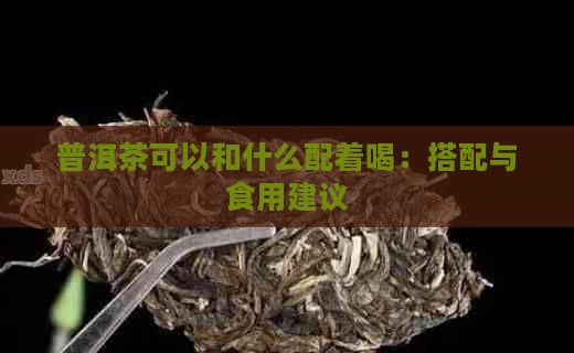普洱茶可以和什么配着喝：搭配与食用建议