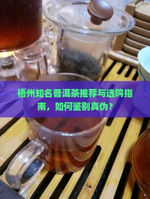 梧州知名普洱茶推荐与选购指南，如何鉴别真伪？
