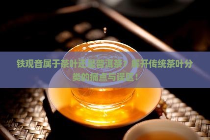 铁观音属于茶叶还是普洱茶？解开传统茶叶分类的痛点与误区！