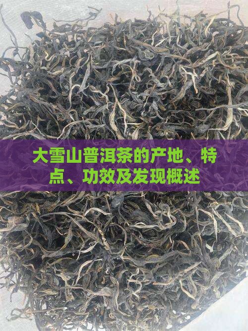 大雪山普洱茶的产地、特点、功效及发现概述