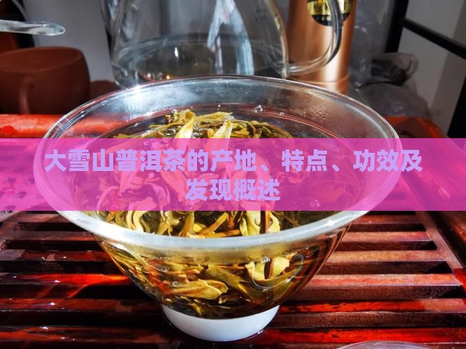 大雪山普洱茶的产地、特点、功效及发现概述