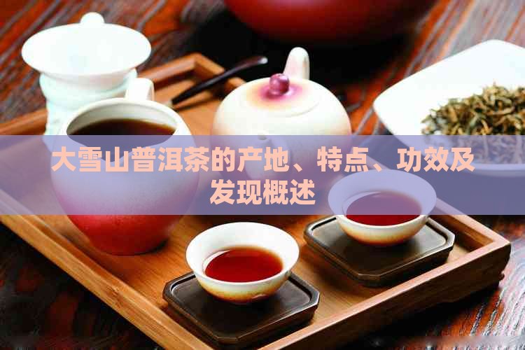 大雪山普洱茶的产地、特点、功效及发现概述