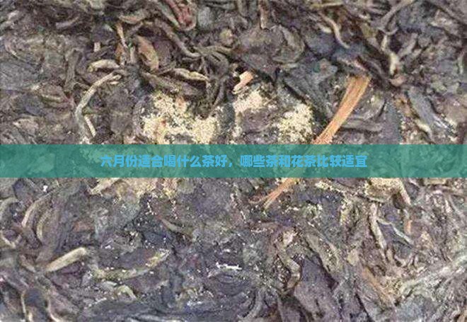 六月份适合喝什么茶好，哪些茶和花茶比较适宜