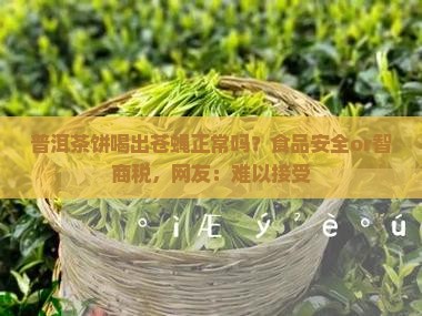 普洱茶饼喝出苍蝇正常吗？食品安全or智商税，网友：难以接受