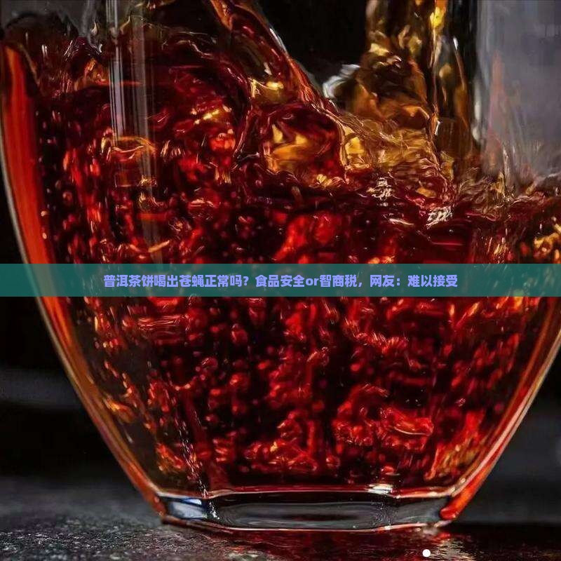 普洱茶饼喝出苍蝇正常吗？食品安全or智商税，网友：难以接受