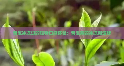 普洱冰冻过的独特口感体验：普洱茶的冰冻新滋味