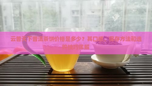 云普天下普洱茶饼价格是多少？其口感、保存方法和选购技巧详解