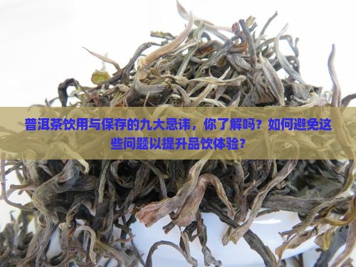 普洱茶饮用与保存的九大忌讳，你了解吗？如何避免这些问题以提升品饮体验？