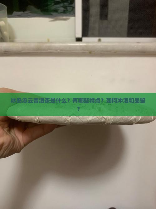 冰岛念云普洱茶是什么？有哪些特点？如何冲泡和品鉴？