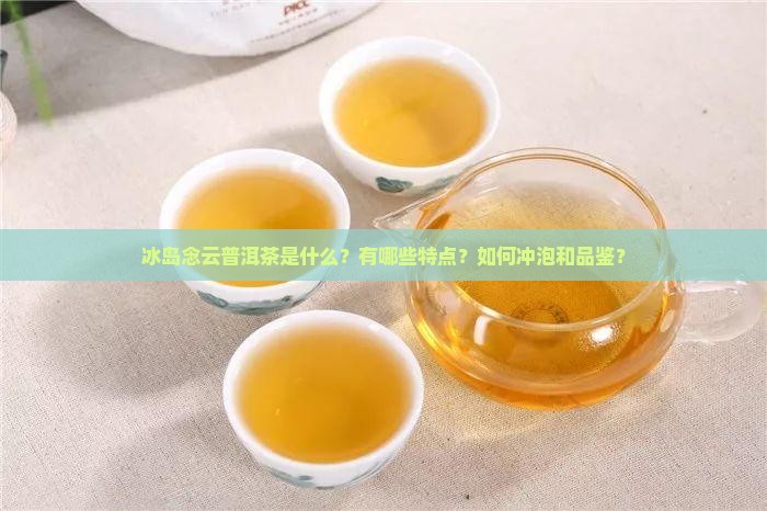冰岛念云普洱茶是什么？有哪些特点？如何冲泡和品鉴？
