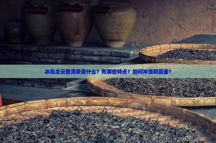 冰岛念云普洱茶是什么？有哪些特点？如何冲泡和品鉴？