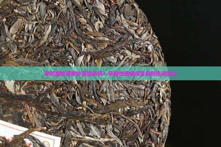 孕妇能饮用原叶普洱茶吗？孕期饮茶痛点及最新热词关注