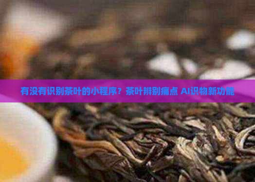 有没有识别茶叶的小程序？茶叶辨别痛点+AI识物新功能