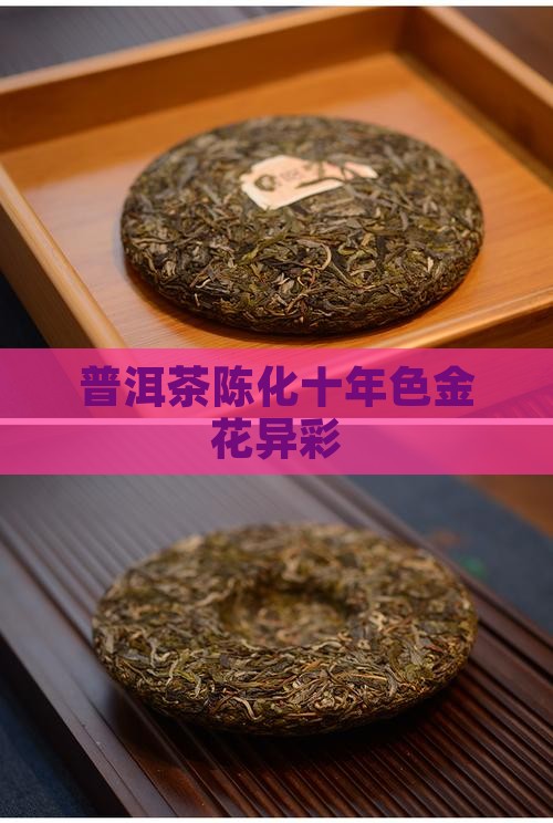 普洱茶陈化十年色金花异彩