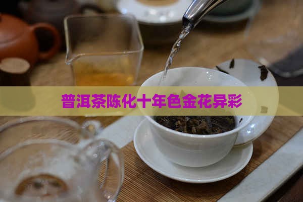 普洱茶陈化十年色金花异彩