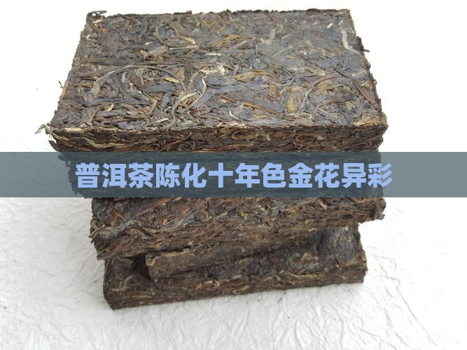 普洱茶陈化十年色金花异彩