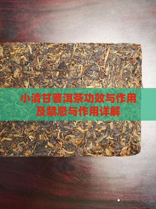 小清甘普洱茶功效与作用及禁忌与作用详解
