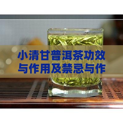 小清甘普洱茶功效与作用及禁忌与作用详解
