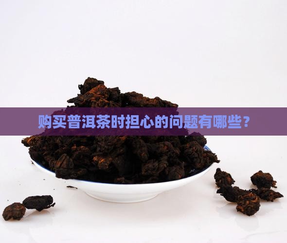 购买普洱茶时担心的问题有哪些？