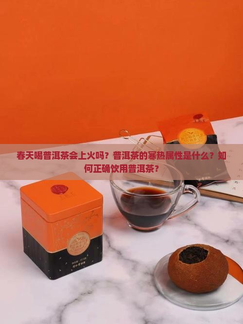 春天喝普洱茶会上火吗？普洱茶的寒热属性是什么？如何正确饮用普洱茶？
