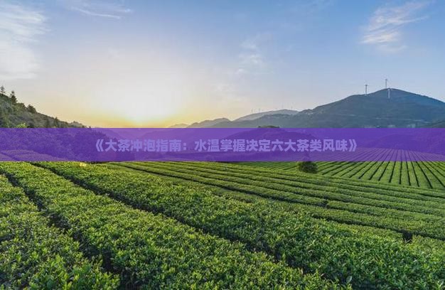 《大茶冲泡指南：水温掌握决定六大茶类风味》