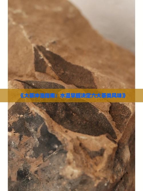《大茶冲泡指南：水温掌握决定六大茶类风味》