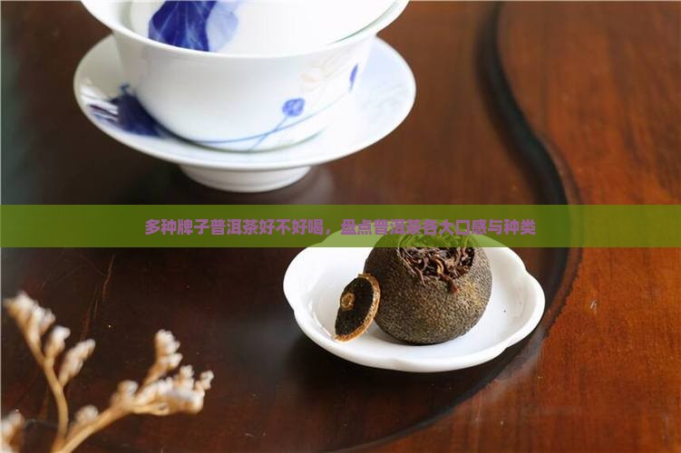 多种牌子普洱茶好不好喝，盘点普洱茶各大口感与种类