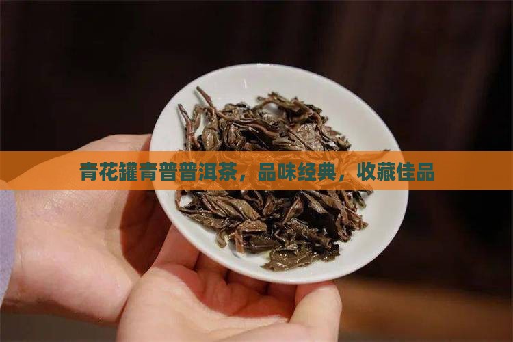 青花罐青普普洱茶，品味经典，收藏佳品