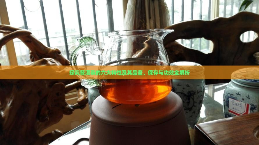 探究普洱茶的六大特性及其品鉴、保存与功效全解析