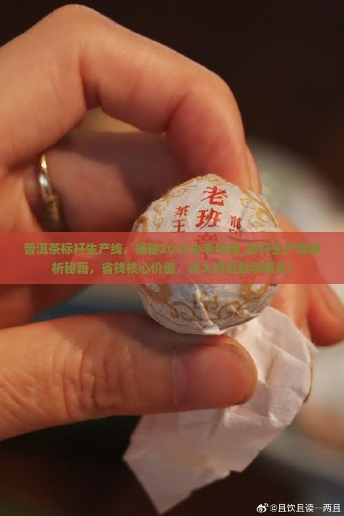 普洱茶标杆生产线