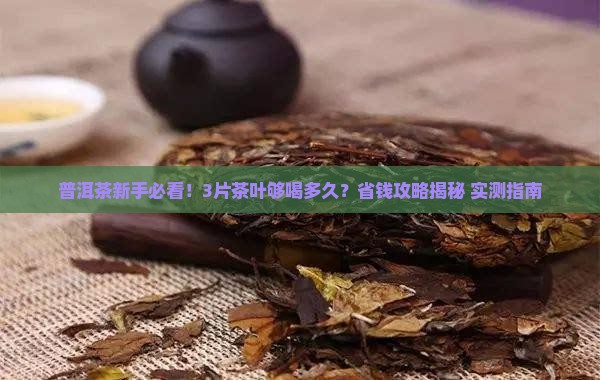普洱茶该放多少片