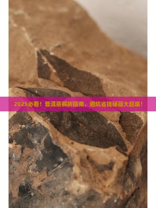 一眼看懂普洱茶