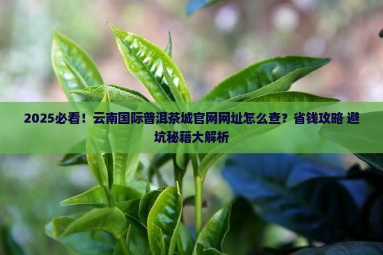 云南国际普洱茶城官网网址