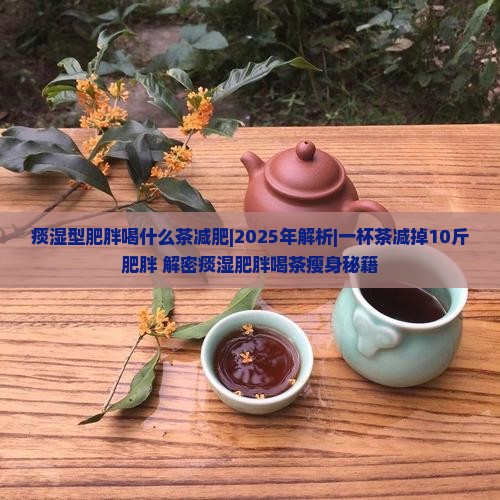 痰湿型肥胖喝什么茶减肥