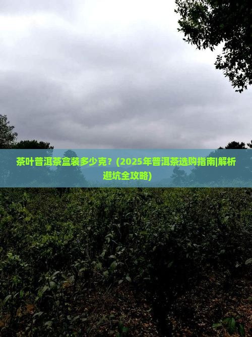 茶叶普洱茶盒装多少克