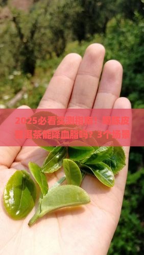 陈皮普洱茶能降血脂吗