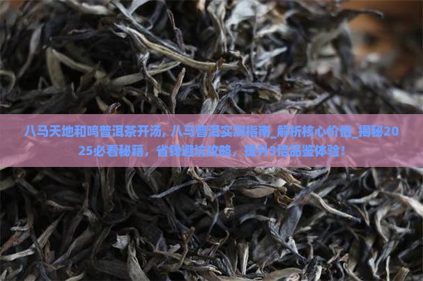 八马天地和鸣普洱茶开汤